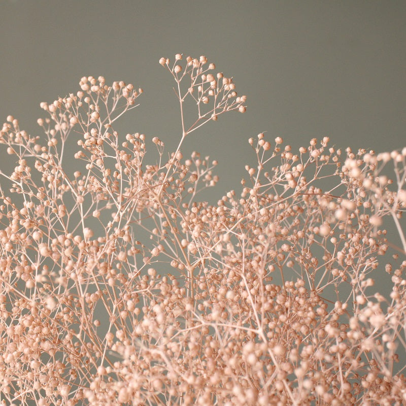 【プリザーブド】【卸販売】00010-081 ミニカスミ草 ピンクベージュ 大地農園 プリザーブドフラワー専門店 花材卸
ミニカスミ草 ピンクベージュ