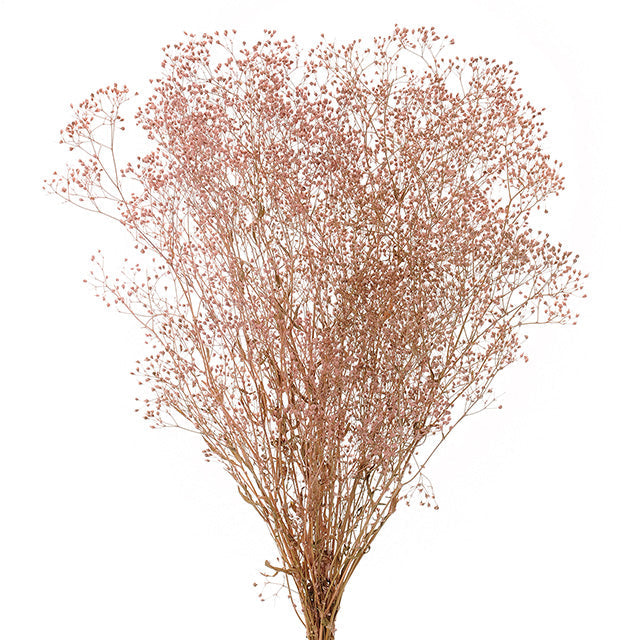 【プリザーブド】【卸販売】00010-212 ミニカスミ草 パウダーローズ 大地農園 プリザーブドフラワー専門店 花材卸