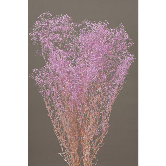 【プリザーブド】【卸販売】00010-400 ミニカスミ草 パープル 大地農園 プリザーブドフラワー専門店 花材卸