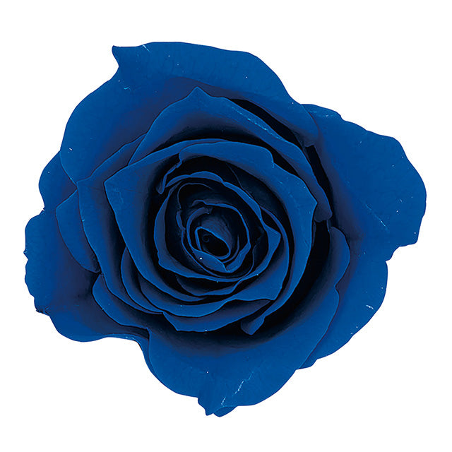 【プリザ】【大地農園】03840661 ローズ・ミミ インディゴブルー 9輪入り 花材卸 プリフラSHOP