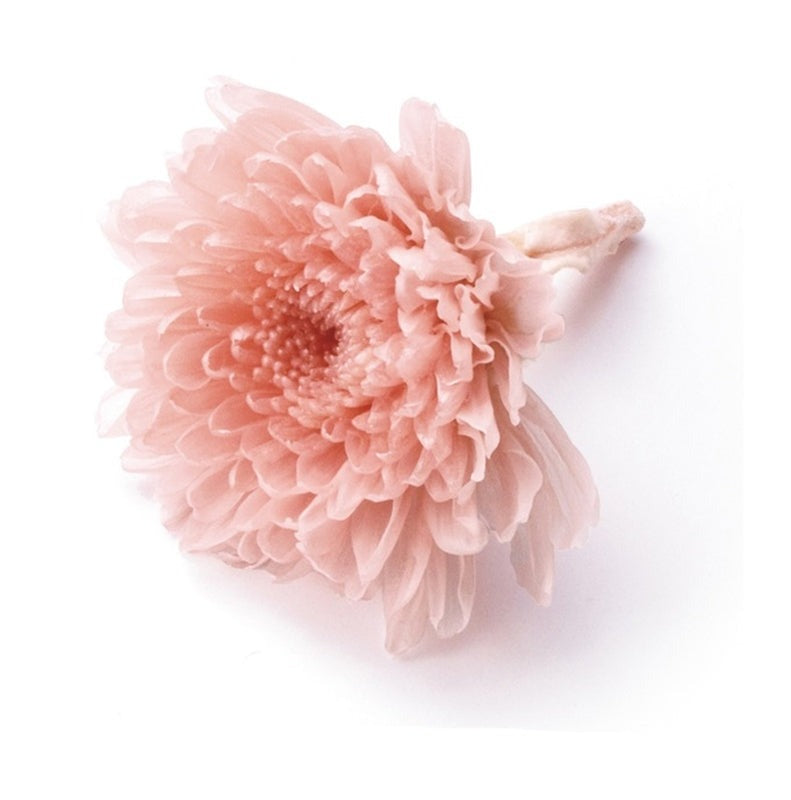 【プリザ】03680-131 小菊 シルキーピンク
