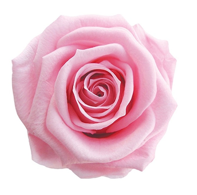 【プリザ】FL300-7 メディアナローズ ベイビーピンク