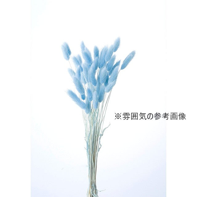 【ドライ】ラグラス ラベンダー(水色の風合い) バルーン用