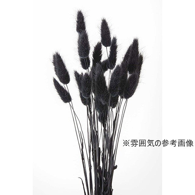 ラグラス 黒 バルーン用 通販サイト プリフラSHOP