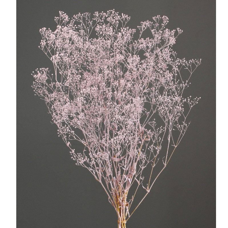 【プリザ】00020-102 スーパーソフトミニカスミ草 マットピンク