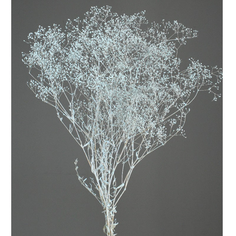 【プリザ】00020-602 スーパーソフトミニカスミ草 マットブルー