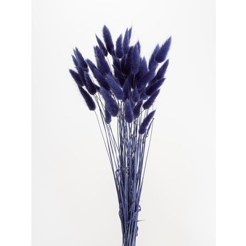 【ドライ】42050-661 ラグラス ネイビー