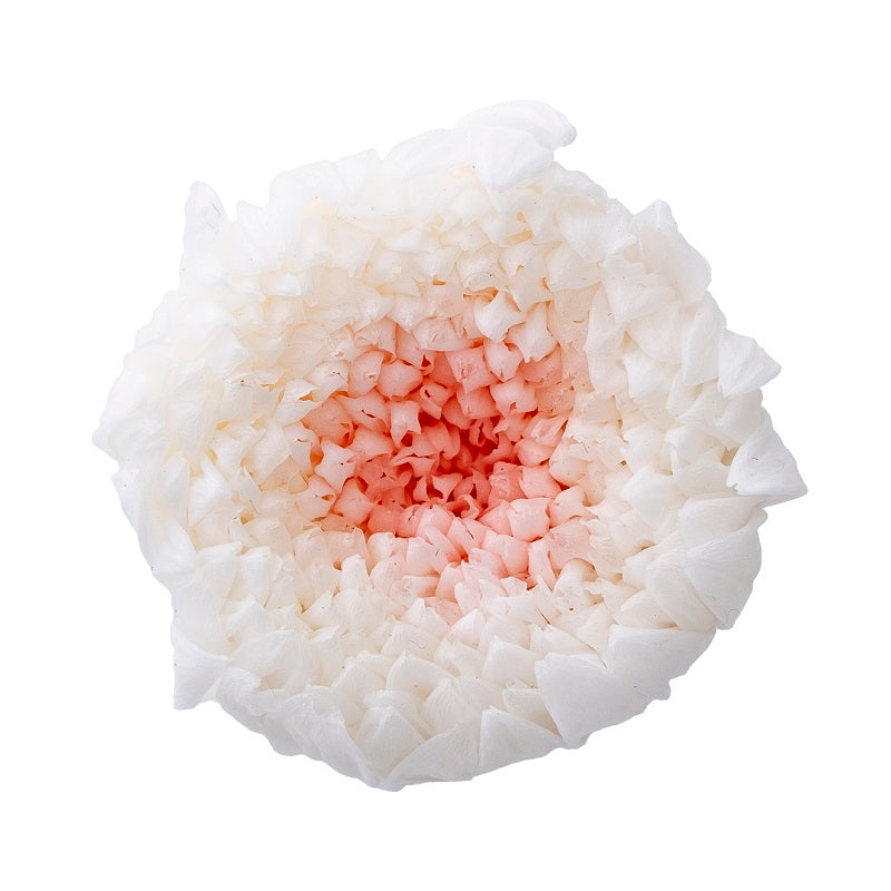 04183-011 輪菊・小・ミルフィーユ ホワイトピンク