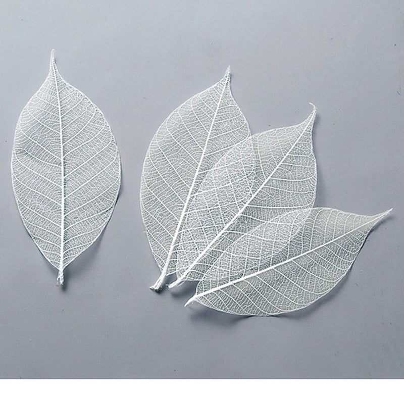 【ドライ】51494-011 ミニスケルトンリーフ 大 白