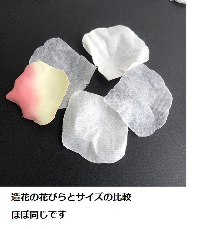 【講師の場合 コード入力】ローズペタル ホワイト