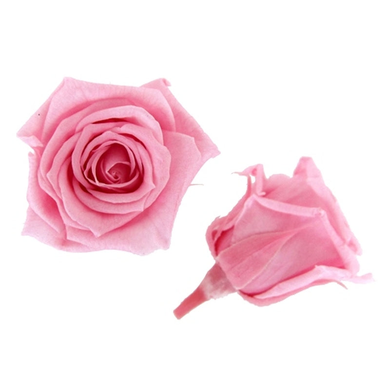 【プリザ】FL50-7 ベイビーローズ ベイビーピンク