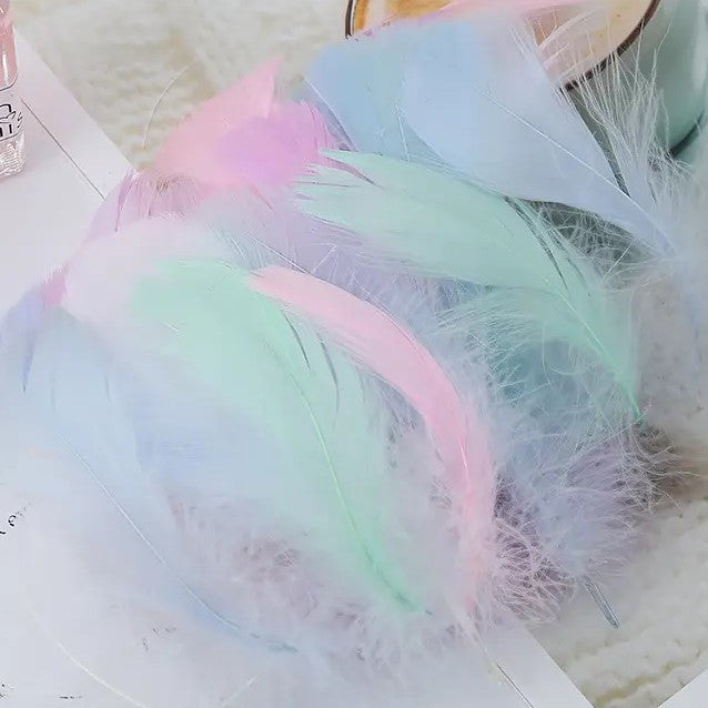 フェザー マカロンカラー【講師の場合 コード入力】