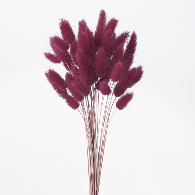 【ドライ】42050-470 ラグラス ワインレッド