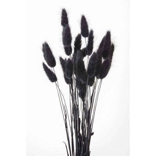 ラグラス 黒 プリフラSHOP 通販サイト