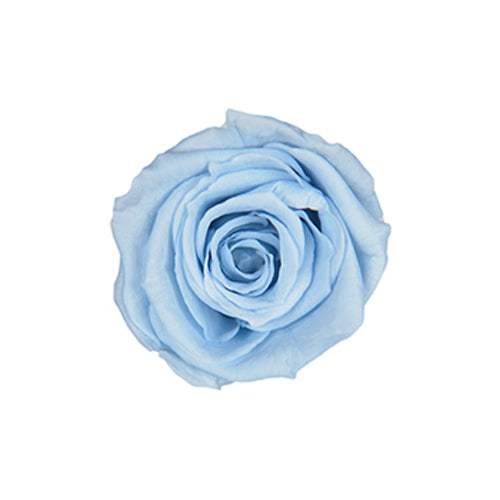 【プリザ】FL50-13 ベイビーローズ パウダーブルー