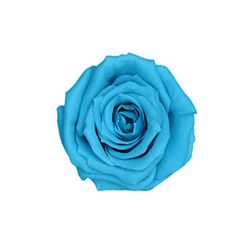 【プリザ】FL70-72 スプレーローズ カリビアンブルー