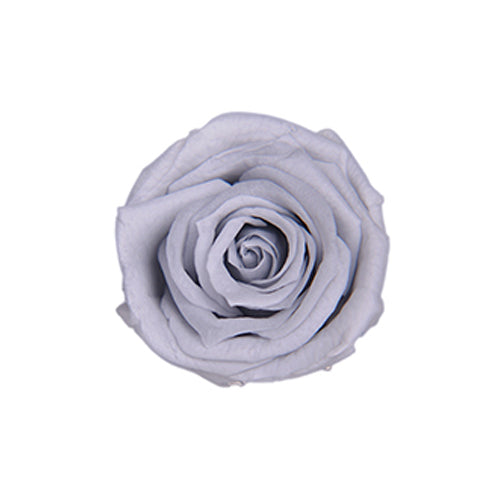 【プリザ】FL300-83 メディアナローズ シルキーグレー