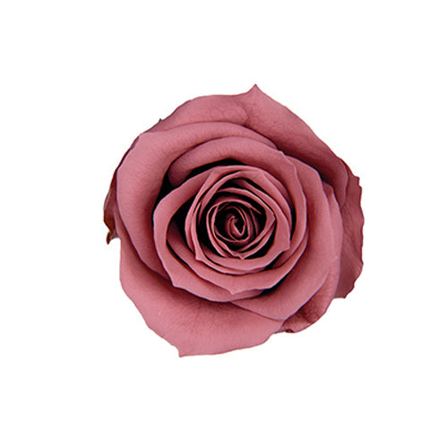 【プリザ】FL70-73 スプレーローズ スモーキーピンク