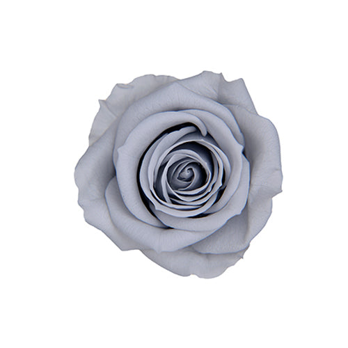 【プリザ】FL70-83 スプレーローズ シルキーグレー