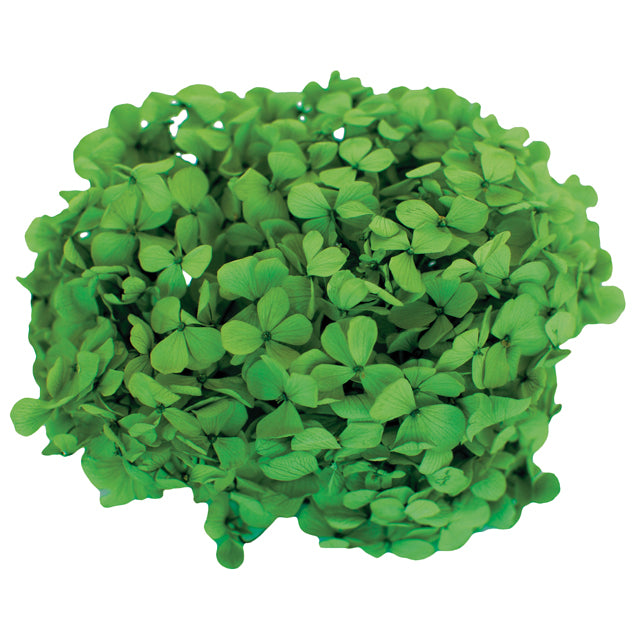 【プリザ】FL291-23 アンデスアジサイ グリーン