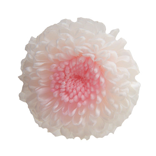 FL415-311 ポンポンマム・デュオ ホワイト×ピンク