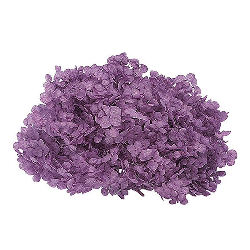 【プリザ】02160-401 アナベル・ヘッド パープル