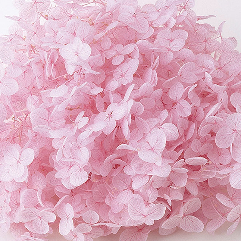 【プリザ】02160-101 アナベル・ヘッド ピンク