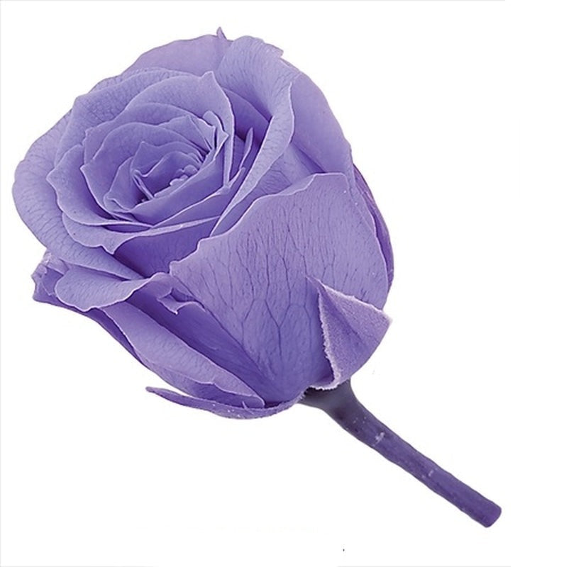 02370-411 ビビアン ラベンダー