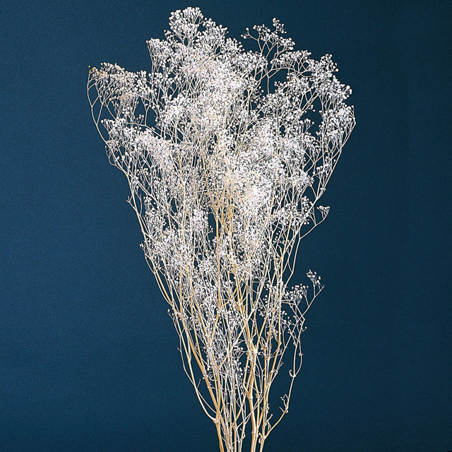 【プリザ】00017-010 ミニカスミ草 白 大束