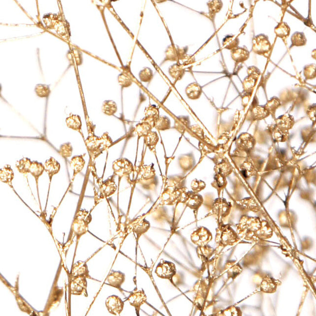 【プリザ】00020-902 スーパーソフトミニカスミ草 ゴールド