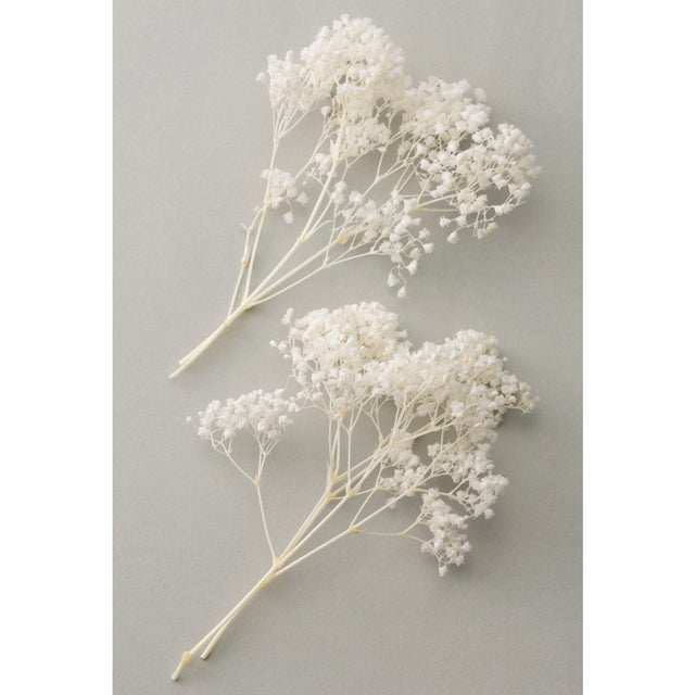 00030-011 カスミ草・ミリオンスター 白