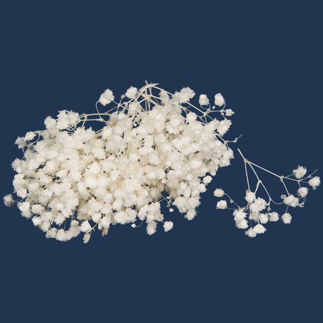 00040-011 カスミ草・オーバータイム 白