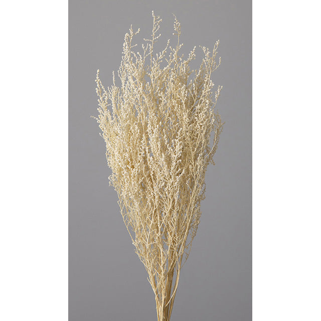 【プリザ】01760-011 ストーベ オフホワイト