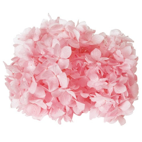 【次回 未定】01900-101 ゆめアジサイ・ヘッド ピンク