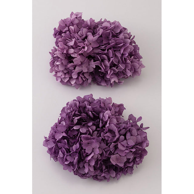 【次回 未定】01900-401 ゆめアジサイ・ヘッド パープル