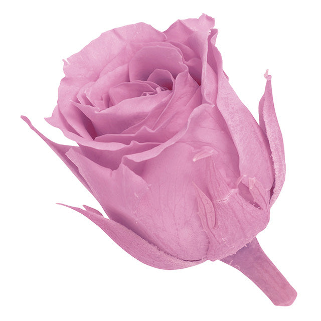 02370-111 ビビアン クリスタルピンク