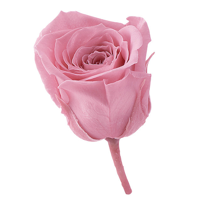 02370-133 ビビアン バニラピンク