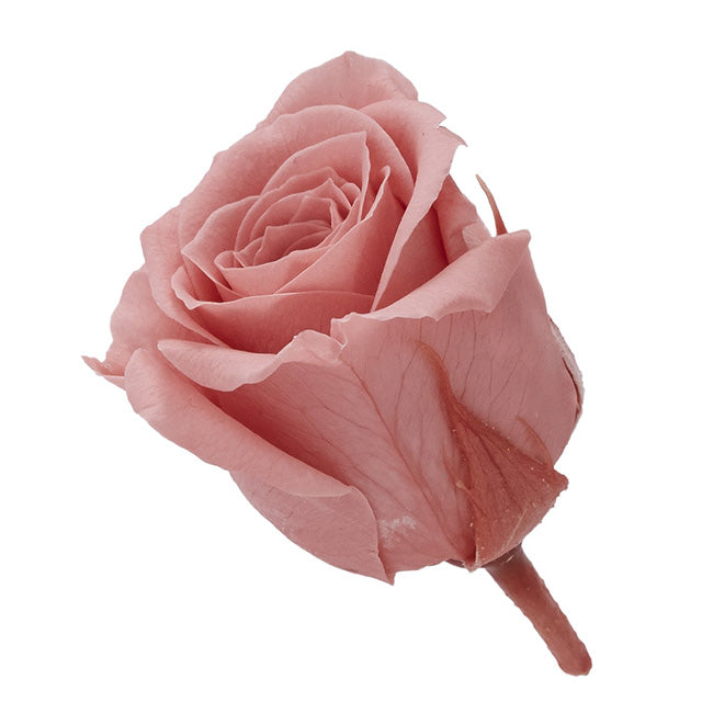 02370-171 ビビアン ボンボンピンク