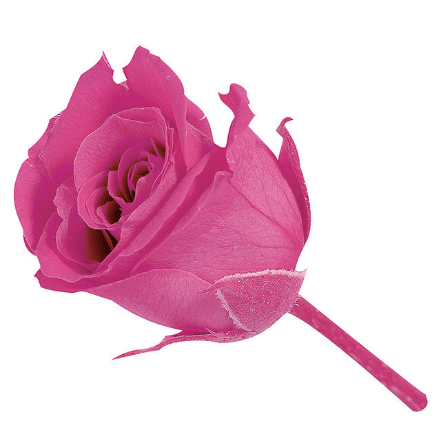 02370-221 ビビアン ストロベリー