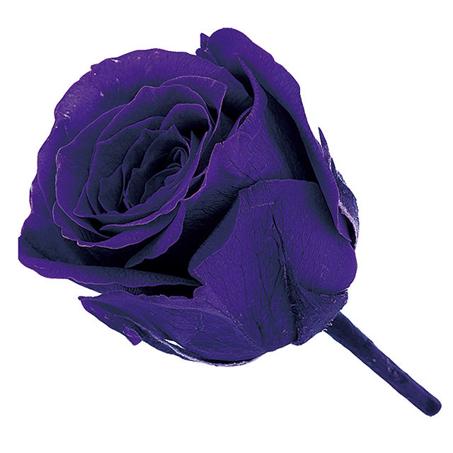 小分け販売 ビビアン 2輪 グレープ