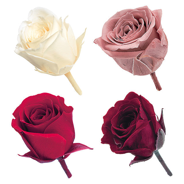 02374-310 ビビアン・カラーアソート レッドミックス