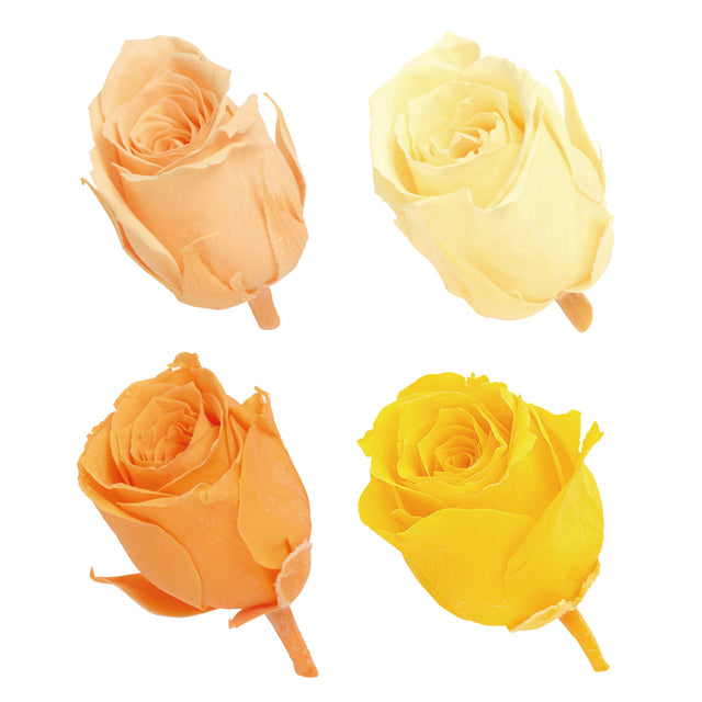 【プリザ】02374-340 ビビアン・カラーアソート オレンジミックス