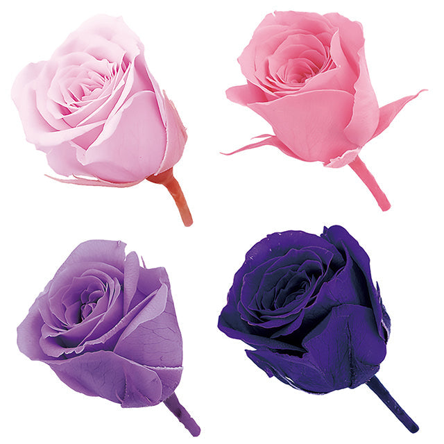 【プリザ】02374-442 ビビアン・カラーアソート ピンクパープルミックス