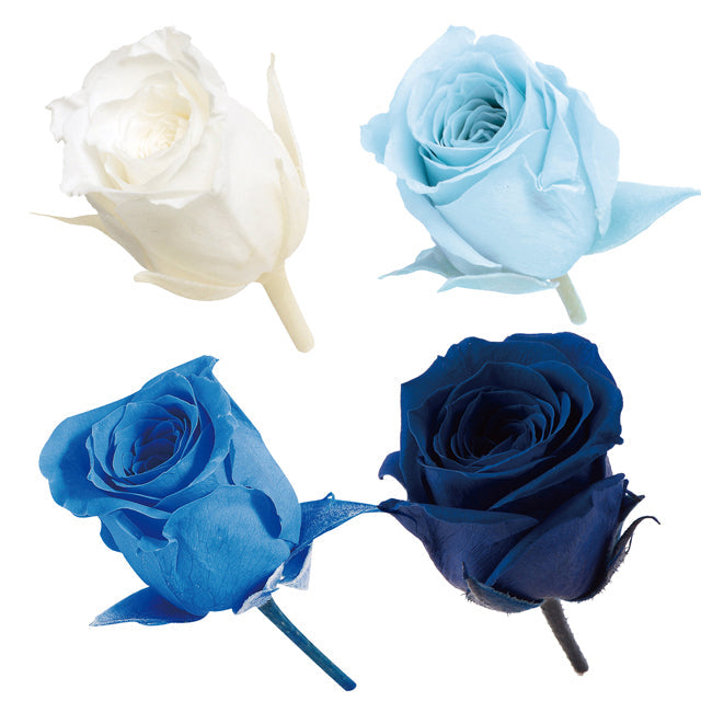 02374-660 ビビアン・カラーアソート ブルーミックス