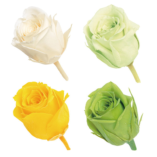 02374-770 ビビアン・カラーアソート グリーンミックス