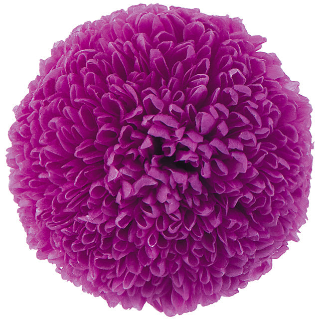 【プリザ】02646-261 ポンポン菊・ミディ ラズベリー