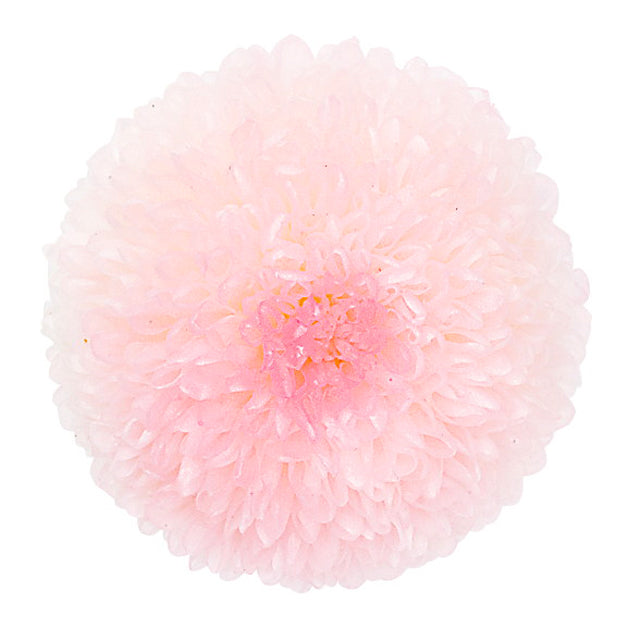 【次回 7月】02646-103 ポンポン菊・ミディ ホワイトピンク