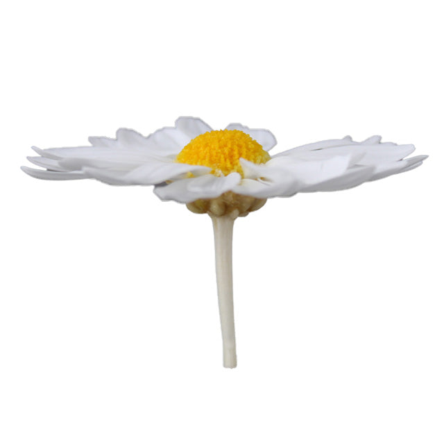 04120-015 マーガレット 白/イエロー