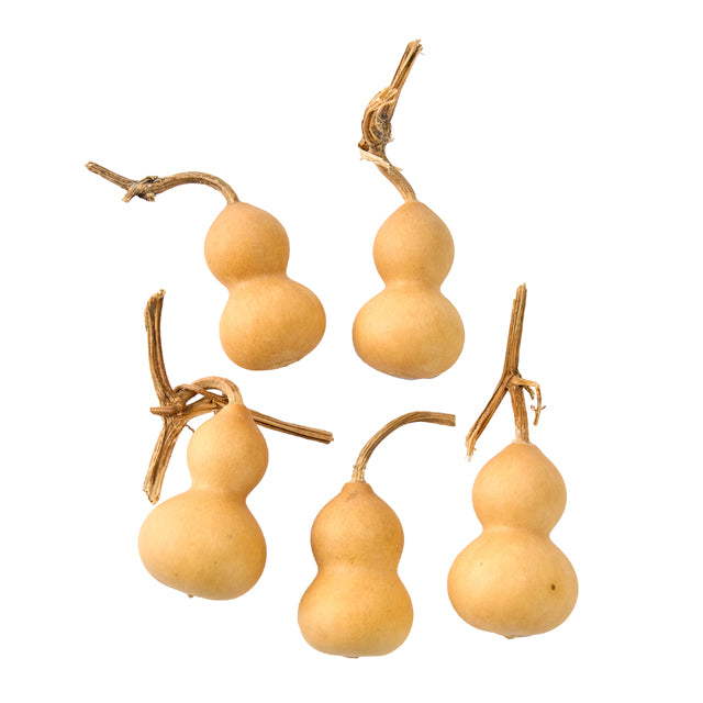 【次回 12月/中~】22330-000 豆ひょうたん ナチュラル