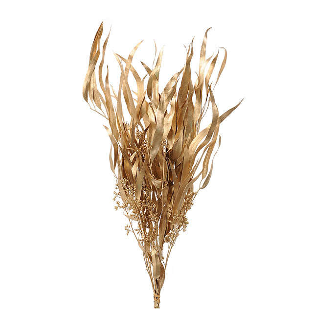 【ドライ】40175-902 ユーカリ・エキゾチカ・葉付 ゴールド